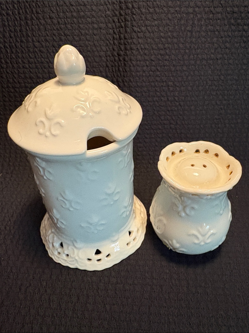 Cream Lace by Skye McGhie.  Embossed Ceramic Tall Lidded Sugar & Pepper Shaker